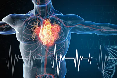 Cardiovascular Health & Longevity Medicine Clinic Boca Raton FL